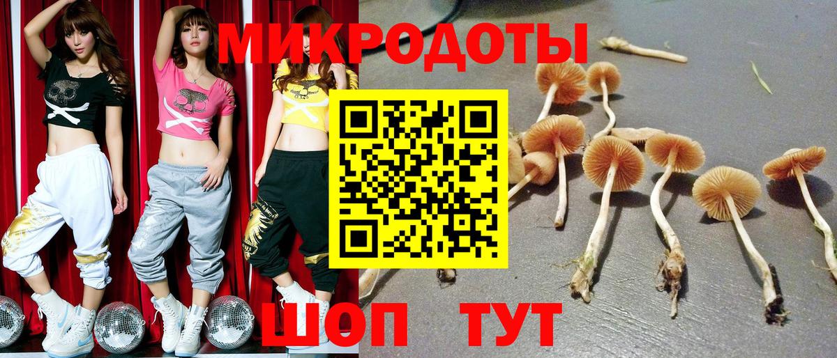 Галлюциногенные грибы Magic Shrooms Донецк