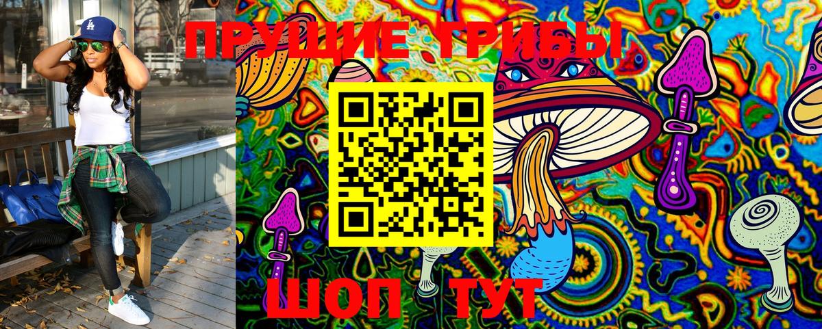 Донецк  Галлюциногенные грибы Psilocybe  Вход с VPN 